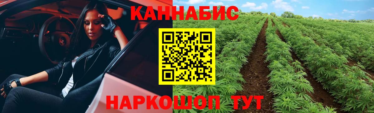 Шишки марихуана THC 21% Тавда